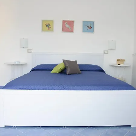 Aurora アグローポリ